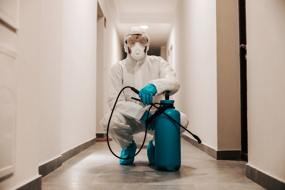 Hawx Pest Control Reviews: Why Clients Rate Them Highly