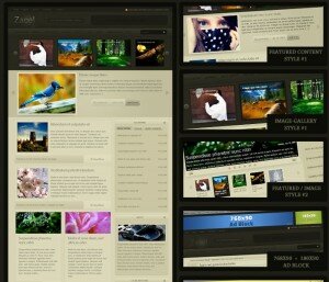 Zeoal Advanced WordPress Theme