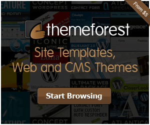Premium Wordpress themes